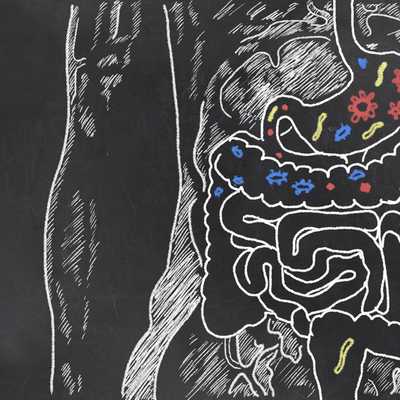 Probiotics - a first look at what’s going on in the gut