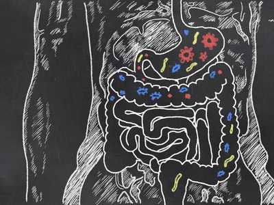 Probiotics - a first look at what’s going on in the gut