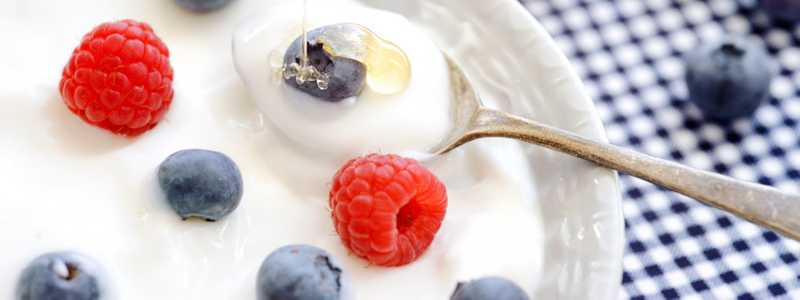 Health benefits of taking probiotics